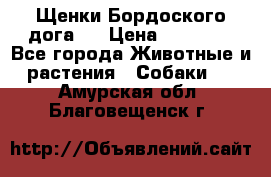 Щенки Бордоского дога.  › Цена ­ 30 000 - Все города Животные и растения » Собаки   . Амурская обл.,Благовещенск г.